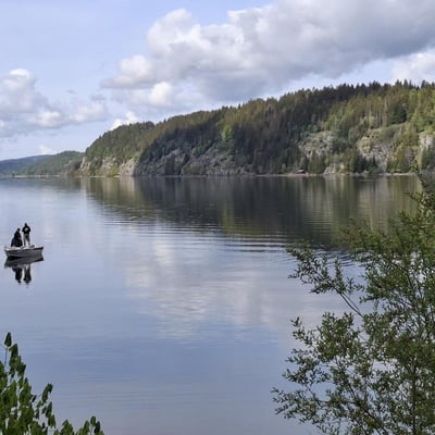 Vue sur le lac de Joux depuis le Pont