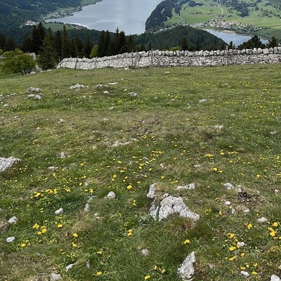 Vue sur le lac de Joux