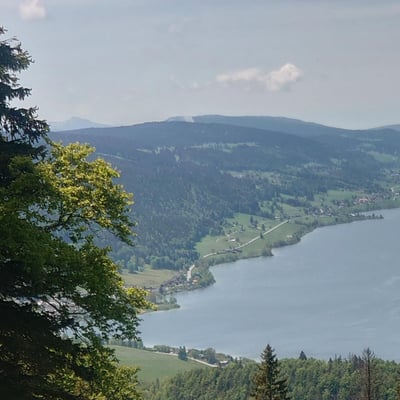 Vue sur le lac de Joux