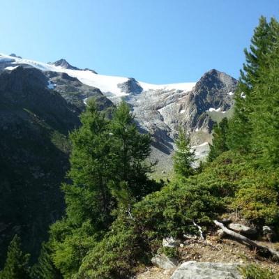 IMG-20180818-WA0000-001